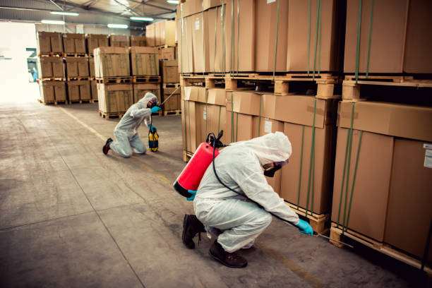 Best Local Pest Control Services  in Baltimore, OH