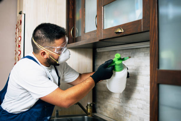 Best Termite Control Services  in Baltimore, OH