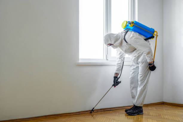 Insect Control in Baltimore, OH