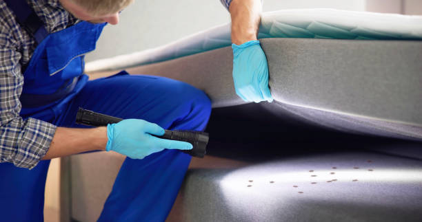 Best Pest Control Near Me in Baltimore, OH
