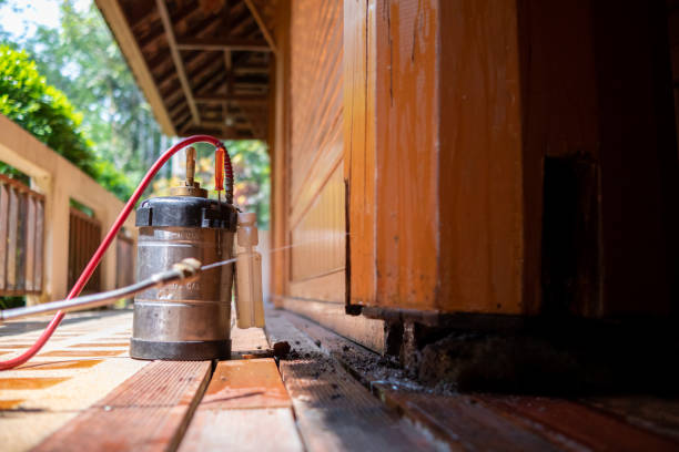 Best Best Pest Control Companies  in Baltimore, OH