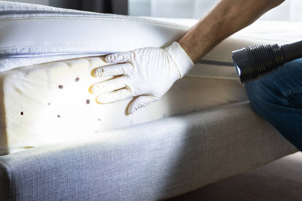Best Rat Extermination Near Me  in Baltimore, OH