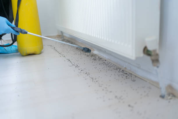Best Pest Prevention Services  in Baltimore, OH