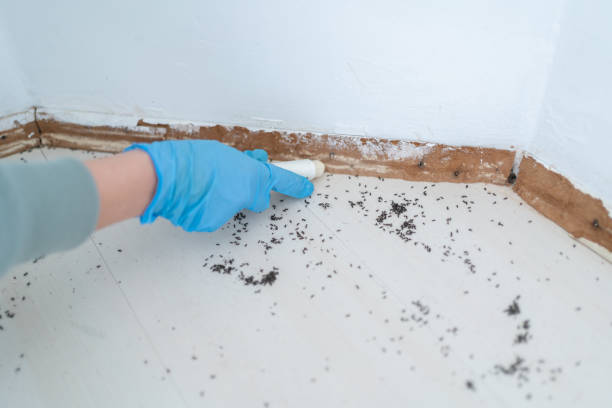 Best Affordable Pest Control Services  in Baltimore, OH